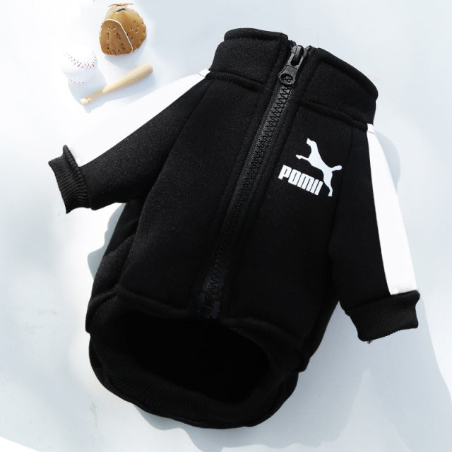 Designer Winter Dog Sweatshirt - Black / S 1.5-2.5KG - Made of Stars