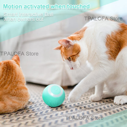 Self-moving Kitten Toys - Made of Stars